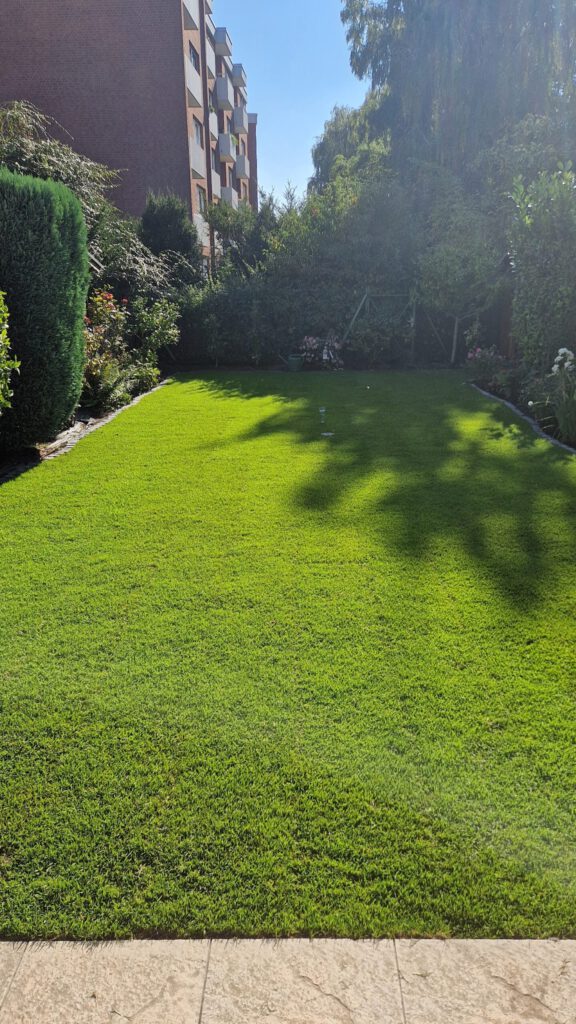 Garten nach der Neuanlage mit Rollrasen